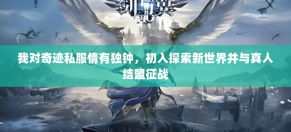我对奇迹私服情有独钟，初入探索新世界并与真人结盟征战  第1张