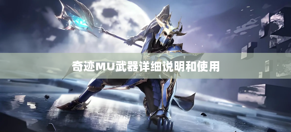 奇迹MU武器详细说明和使用  第1张